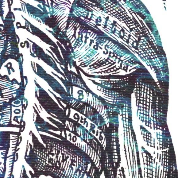 Nervous System Print 8"x10" - Picture 5 of 6